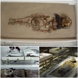 Unraveling an ancient enigma: Scientists delve into the mystery of what caused the demise of Chile's enigmatic mummies, seeking clues to a centuries-old puzzle.