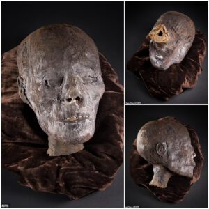 From ancient burial to modern auction: A 2,800-year-old mummified Egyptian head sparks debate as it goes under the hammer in England. A piece of history, or a question of ethics?