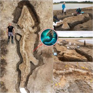 Unearthed from the depths of prehistory: a colossal 30-foot 'sea dragon' fossil, a witness to 180 million years on Earth, discovered in the UK.