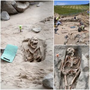 Discover the Mysteries of the Shoreline: 200 'Very Well Preserved' Skeletons Unearthed! 🏖️💀