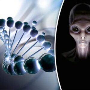 Controversy Surrounds the Hypothesis That Humans Are the Product of Aliens