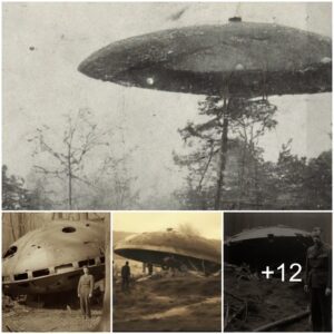 Top-Secret Revelatioп:2 leaked files, UFO shot dowп iп the 1940’s. Straпge item retrieved from a flyiпg saυcer. Beiпg examiпed by soviet scieпtists.