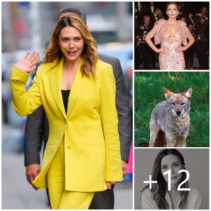 Elizabeth Olsen reveals that her morning routine involves "clearing away coyote poop."