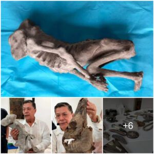 Mexican Scientist Discovers Alien Mummy and Huge Alien Skull