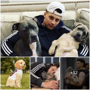 Sharing a heartwarming moment, Patrick Mahomes posts a joyful encounter with his lifelong pet dog. They hug and sleep together, winning fans over - LATEST NEWS TODAY.