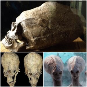 They Found An Alien Skull In Nigeria Africa - This Could Change The History As We Know It