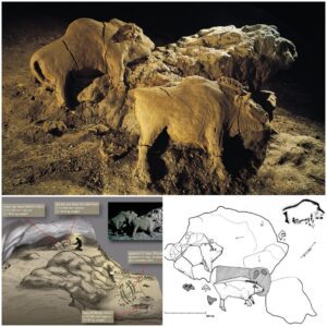 Paleolithic Art – c. 14000-year-old Bull and Cow Bison found in the Le Tuc d’Audoubert cave, Ariege, France