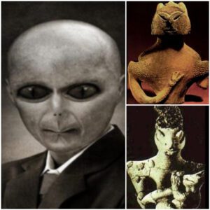 Aliens Have Come To Earth Since Ancient Times: 6 Indisputable Living Evidence ‎