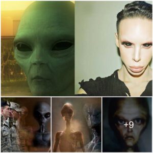 The Pentagon Reportedly Allowed the Release of a Video in Which a U.S. Army Soldier Talks About Various Alien Races!