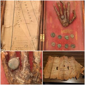 ‘Pirate treasure’: A family discovers in their grandfather’s attic including HUMAN HAND, treasure map and coins that had been ɩуіпɡ in the attic for more than 100 years without even realizing it