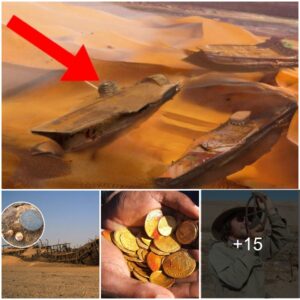 Diggers accidentally found a 500-year-old shipwreck filled with gold and coins