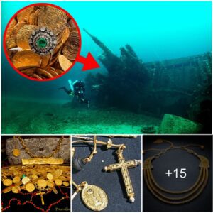 Thousands of years of history lie at the bottom of the ocean: Incredibly preserved 800-year-old gold necklace was found in a shipwreck along with many other artifacts from the Song Dynasty.