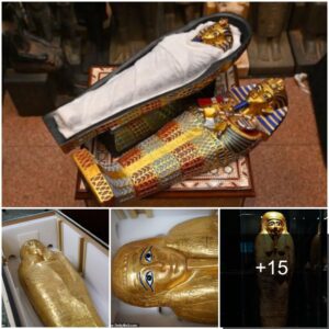 Ancient solid gold coffin dating back 2,100 years from the 1st century BC was shipped from the US and returned to Egypt