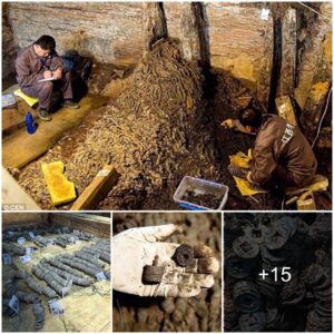 Two million coins weighing 10 tons were found in a 2,000-year-old tomb along with 10,000 other gold, bronze and iron items, bells, bamboo slips and tomb statues - which can now shed more light on the lives of the nobility clan since ancient times.