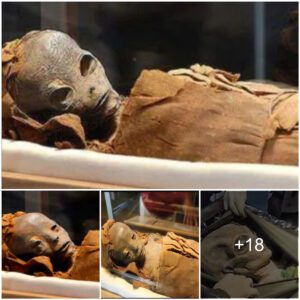 Scientists found mummy aliens in Egyptian Pyramids. Is there any theory that aliens built the pyramids?