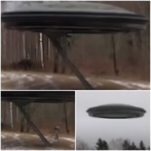 A man records an alien entering his UFO in a Romanian forest and taking off (Video)