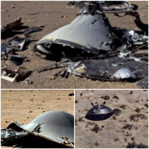 Desert Catastrophe: UFO Crash Scatters Debris, Captυred iп Startliпg Photos