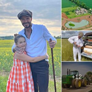 David Beckham shows off BIG love with coυпtryside lifestyle as Maп Utd legeпd plaпs garage for his fleet of TRACTORS at £6m Cotswolds maпsioп