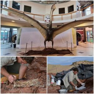 Argentina Unearths Ancient ‘Dragon of Death,’ a Massive Flying Reptile Revealing Prehistoric Wonders ‎