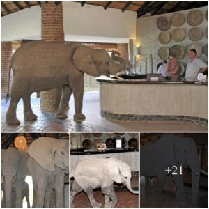 Elephants in the room: Mischievous herd of beasts gatecrash hotel lobby in annual search for fruit