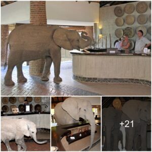 Elephants In The Room: Mischievous Herd Of Beasts Gatecrash Hotel Lobby In Annual Search For Fruit