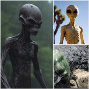 Unveiling the Extraterrestrial Enigma: Countless Evidence of Aliens