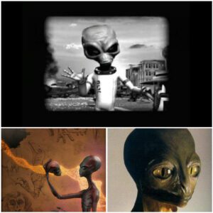 Unveiling the Enigma: Exploring the Real Appearance of Aliens