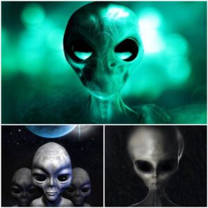 Unveiling the Enigma: Could Aliens Be Among Us?