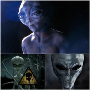 Unraveling the Mystery: Do Aliens Live Like Humans on Earth?