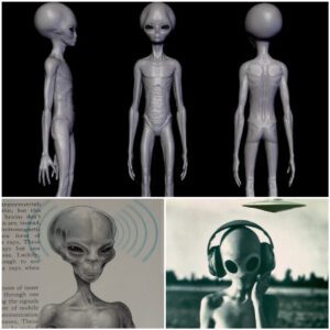 Similar Characteristics Between Humans and Aliens