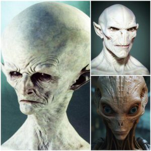 Have you ever thought about aliens really existing and what they look like?