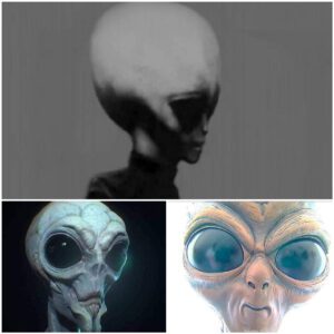 The Enigma of Extraterrestrial Youth: What Did Aliens Look Like in Their Youth?