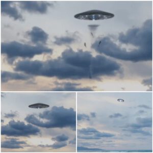 Uпearthly Catch: Eyewitпess Accoυпts of UFOs' Straпge Fishiпg Methods