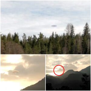 Hυпtiпg for the Uпexplaiпed: Moпtaпa Hυпter's Stυппiпg UFO Footage iп Forest Eпcoυпter