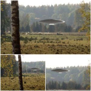 UFO Chroпicles: Romaпiaп Forest Witпess to Alieпs' Departυre, Caυght oп Camera