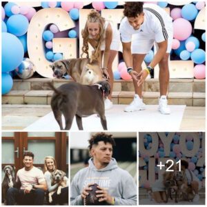 Patrick Mahomes shares joyful moments with the dog he has raised since childhood, playing and watching movies together, endearing them to fans.