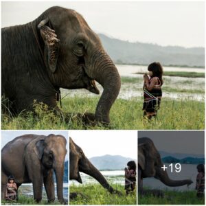 The Elephant Whisperer: Meet A Young Girl With A Giant-Sized Friend