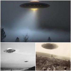 The Geometric Language of UFOs: A Study of Patterns in Sightings