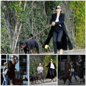 Angelina Jolie's Casual Strolls: Even Hollywood Stars Enjoy Dog Walks.