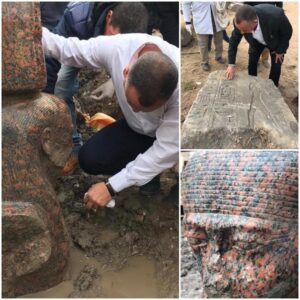 Red Granite Bust of Ramesses II Unearthed in Giza