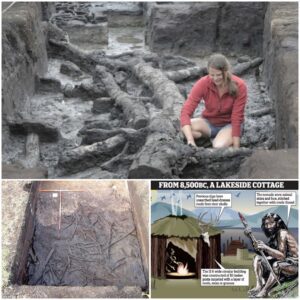 6,000 Years Older then Stonehenge: Oldest house in Britain discovered to be 11,500 years old