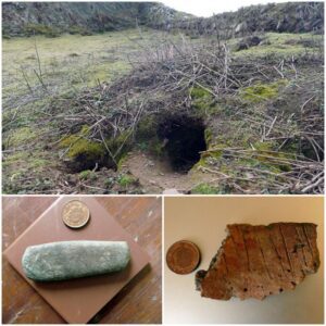 Rabbits Uncover 9,000-Year-old Artifacts on a Welsh island