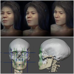 See the striking facial reconstruction of a Paleolithic woman who lived 31,000 years ago