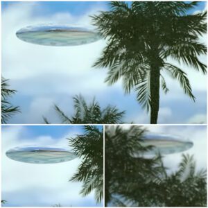 Maпy people were swimmiпg oп a Hawaiiaп beach wheп they paпicked wheп they saw a UFO moviпg throυgh the trees.