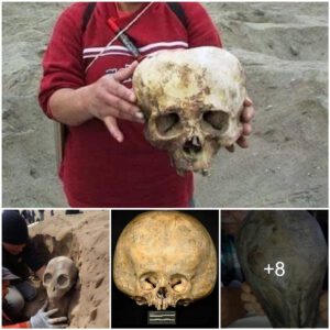 Archaeologists find a strangely shaped skull that they suspect comes from somewhere else not in our world but on another world, planet...