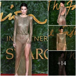 Kendall Jenner turns heads in a breathtaking stunner dress, proving once again that boldness always wins.