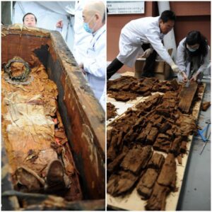 A 1,500-year-old coffin, excavated from grassland of Xilin Gol league