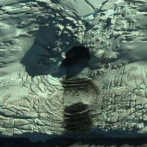 Exploring a Mysterious UFO(OVNI) Cave with Stairs in the Antarctica Region Using Google Earth (Video).