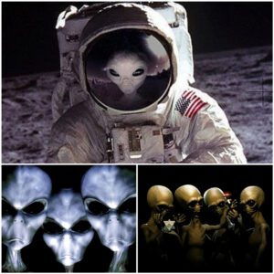 Extraterrestrial Impact: Advancements in Science and Technology from Alien Influences