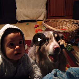 Mom Tries to Get Baby to Say ‘Mama,’ Bυt Hilarioυsly, the Dog Says It First